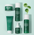 Madagascar Centella Snowgrass 5 Piece Skincare Set